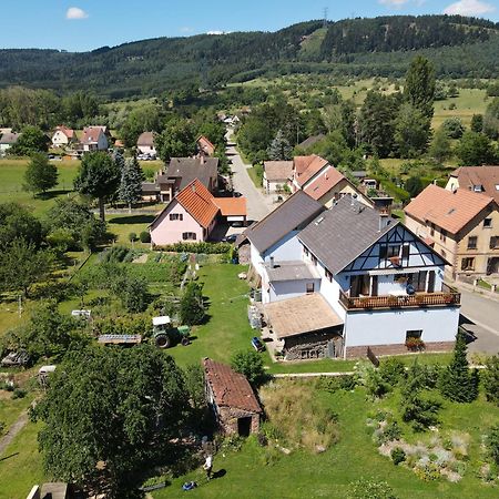 Le Nid De Cigognes Hengwiller Exterior foto