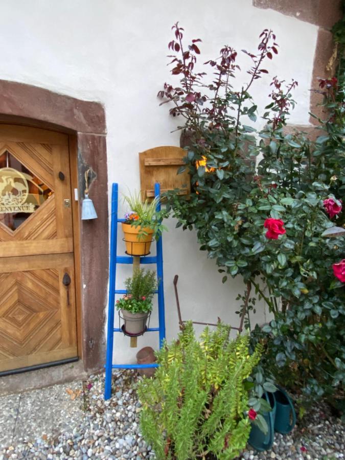 Le Nid De Cigognes Hengwiller Exterior foto