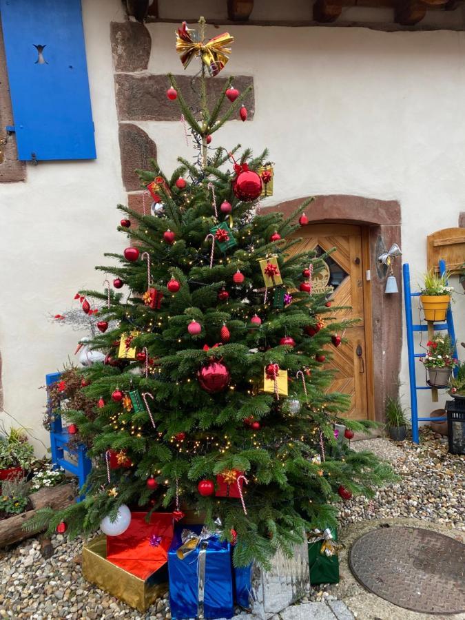 Le Nid De Cigognes Hengwiller Exterior foto