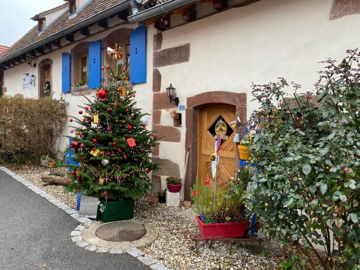 Le Nid De Cigognes Hengwiller Exterior foto