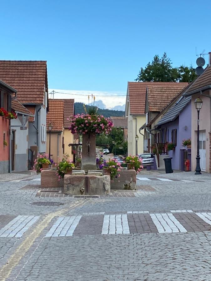 Le Nid De Cigognes Hengwiller Exterior foto