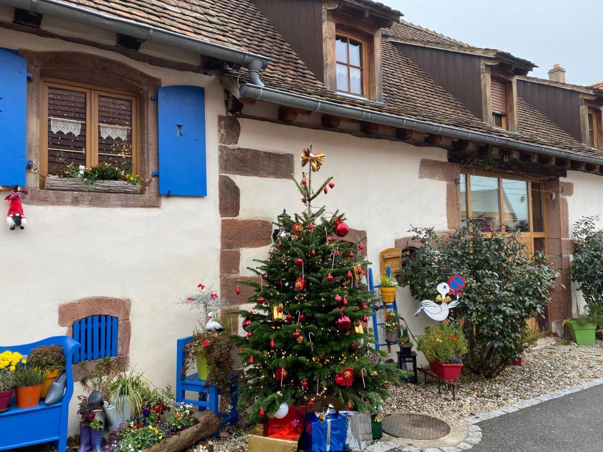 Le Nid De Cigognes Hengwiller Exterior foto
