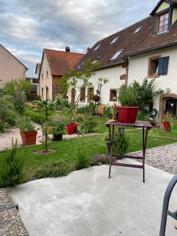 Le Nid De Cigognes Hengwiller Exterior foto