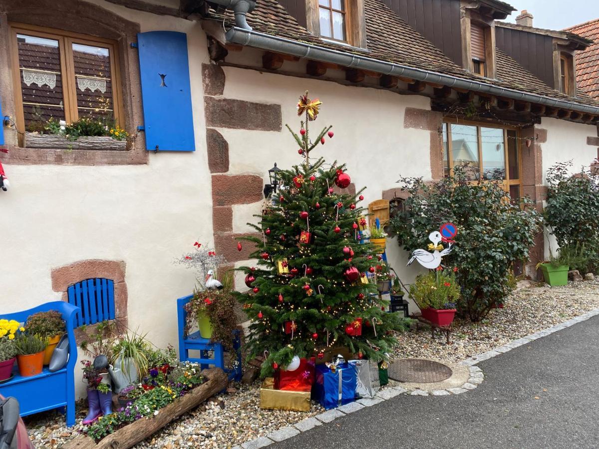 Le Nid De Cigognes Hengwiller Exterior foto