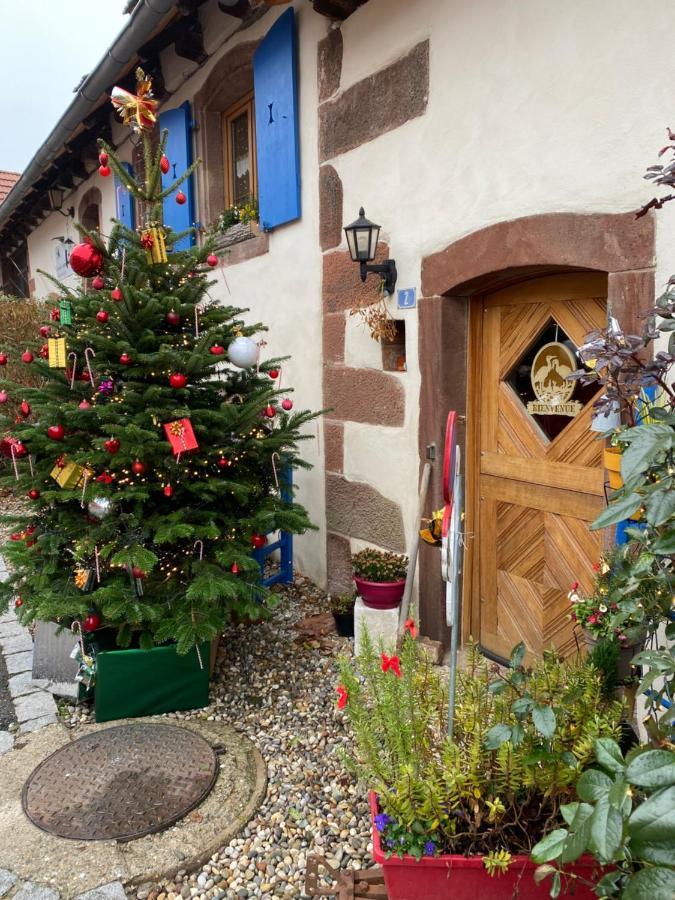 Le Nid De Cigognes Hengwiller Exterior foto