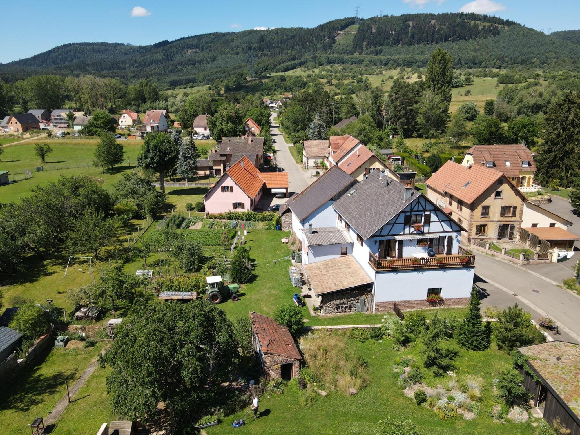 Le Nid De Cigognes Hengwiller Exterior foto