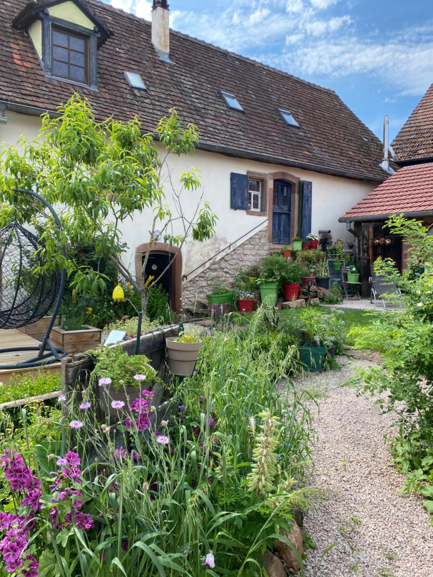 Le Nid De Cigognes Hengwiller Exterior foto