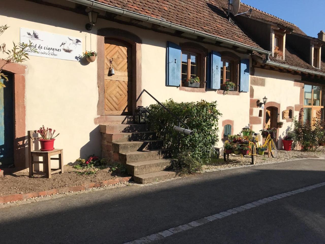 Le Nid De Cigognes Hengwiller Exterior foto