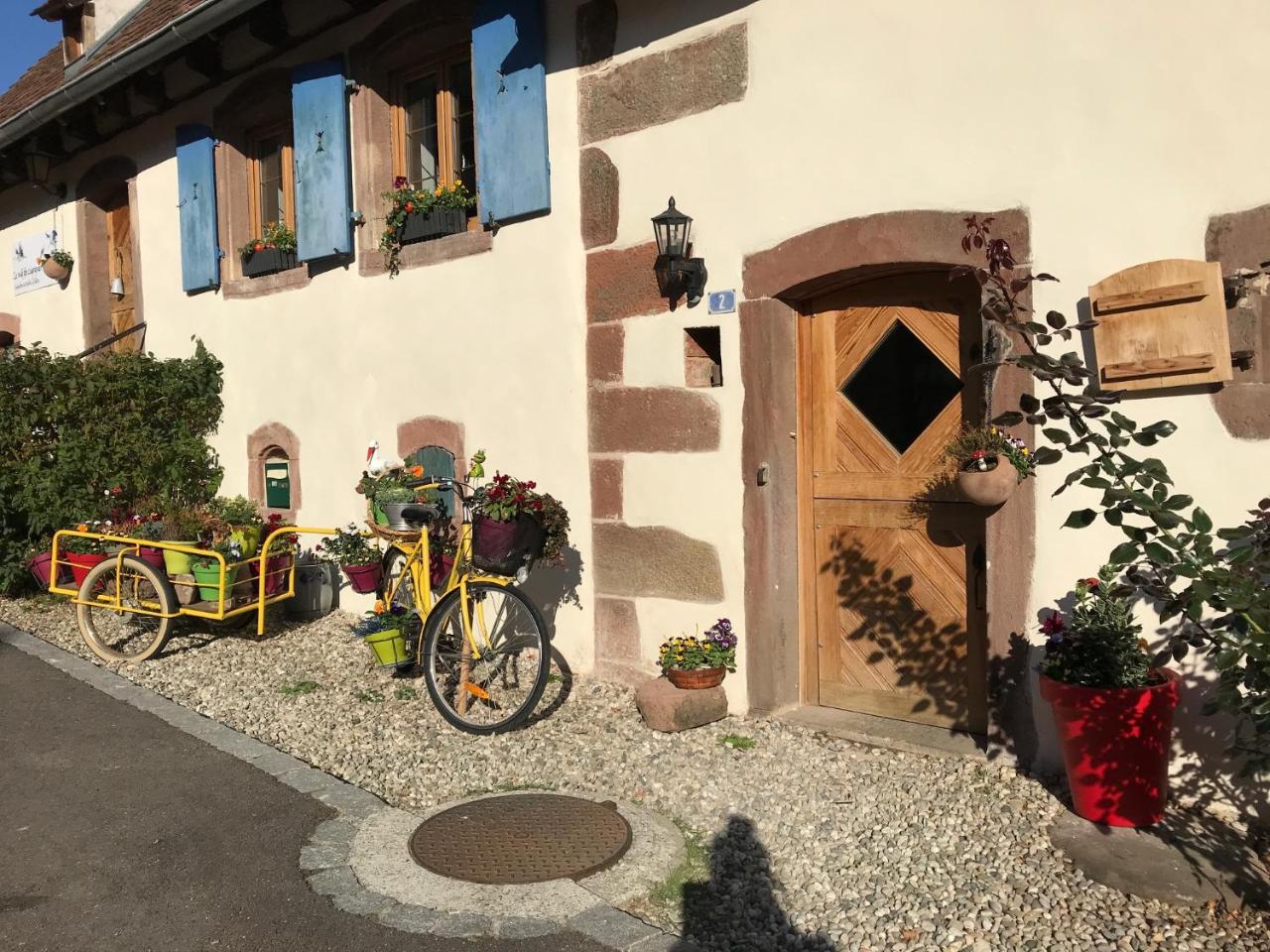 Le Nid De Cigognes Hengwiller Exterior foto