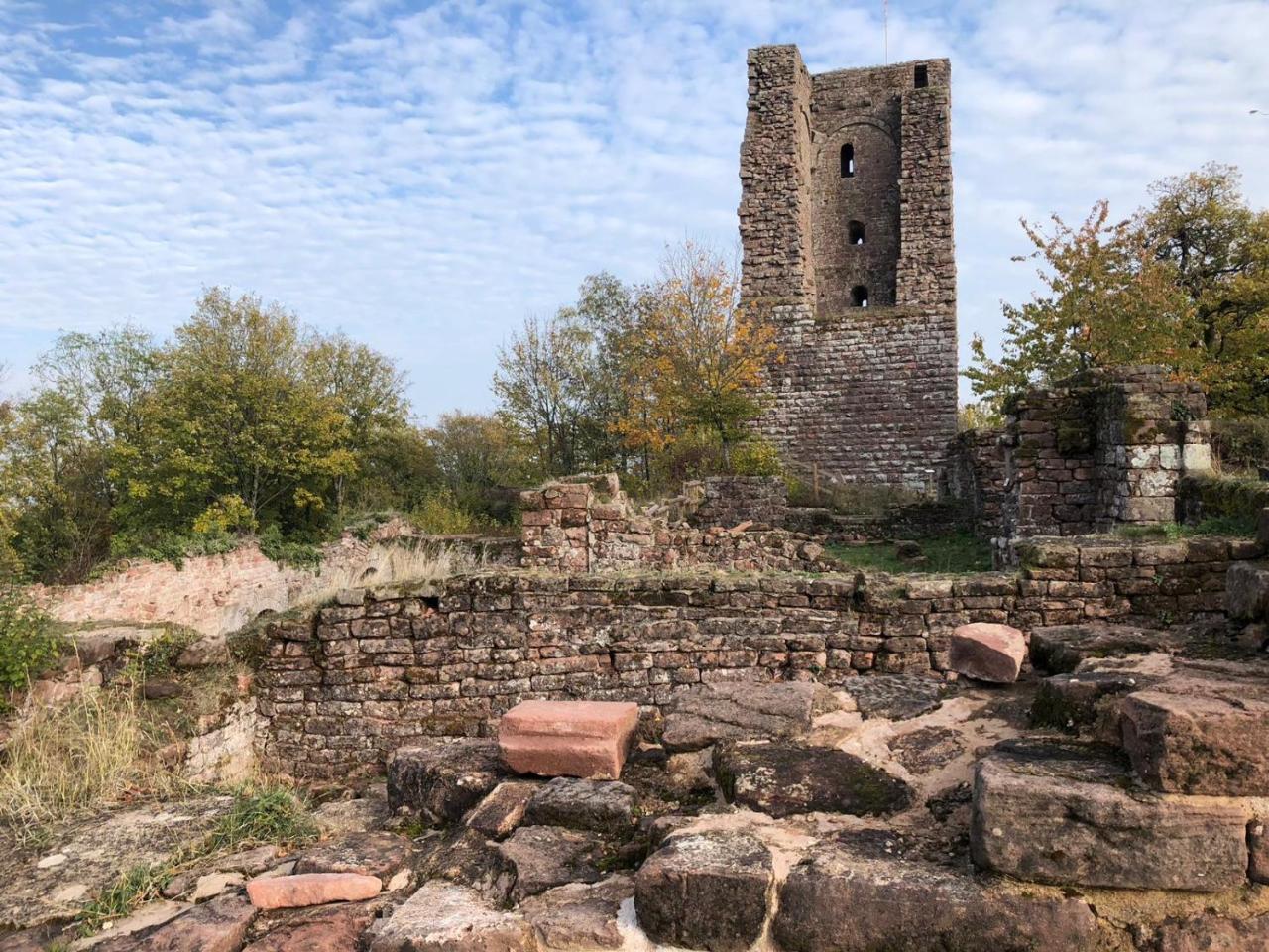 Le Nid De Cigognes Hengwiller Exterior foto