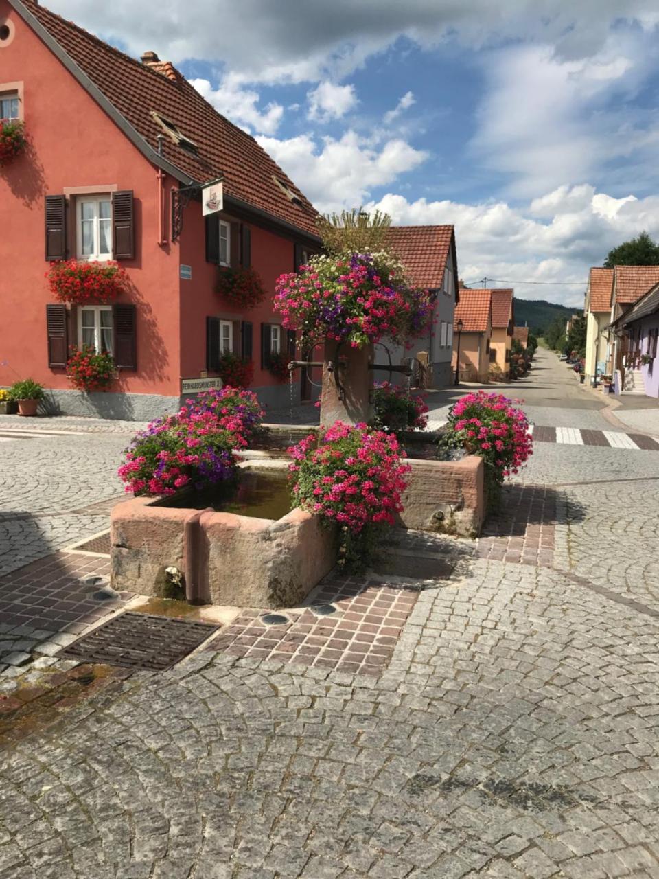 Le Nid De Cigognes Hengwiller Exterior foto