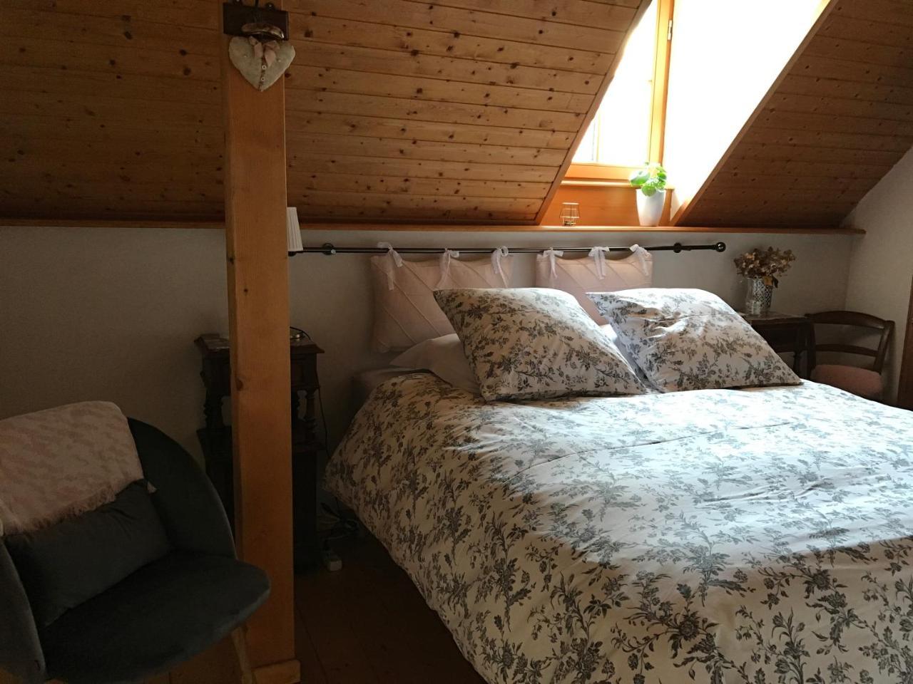 Le Nid De Cigognes Hengwiller Exterior foto