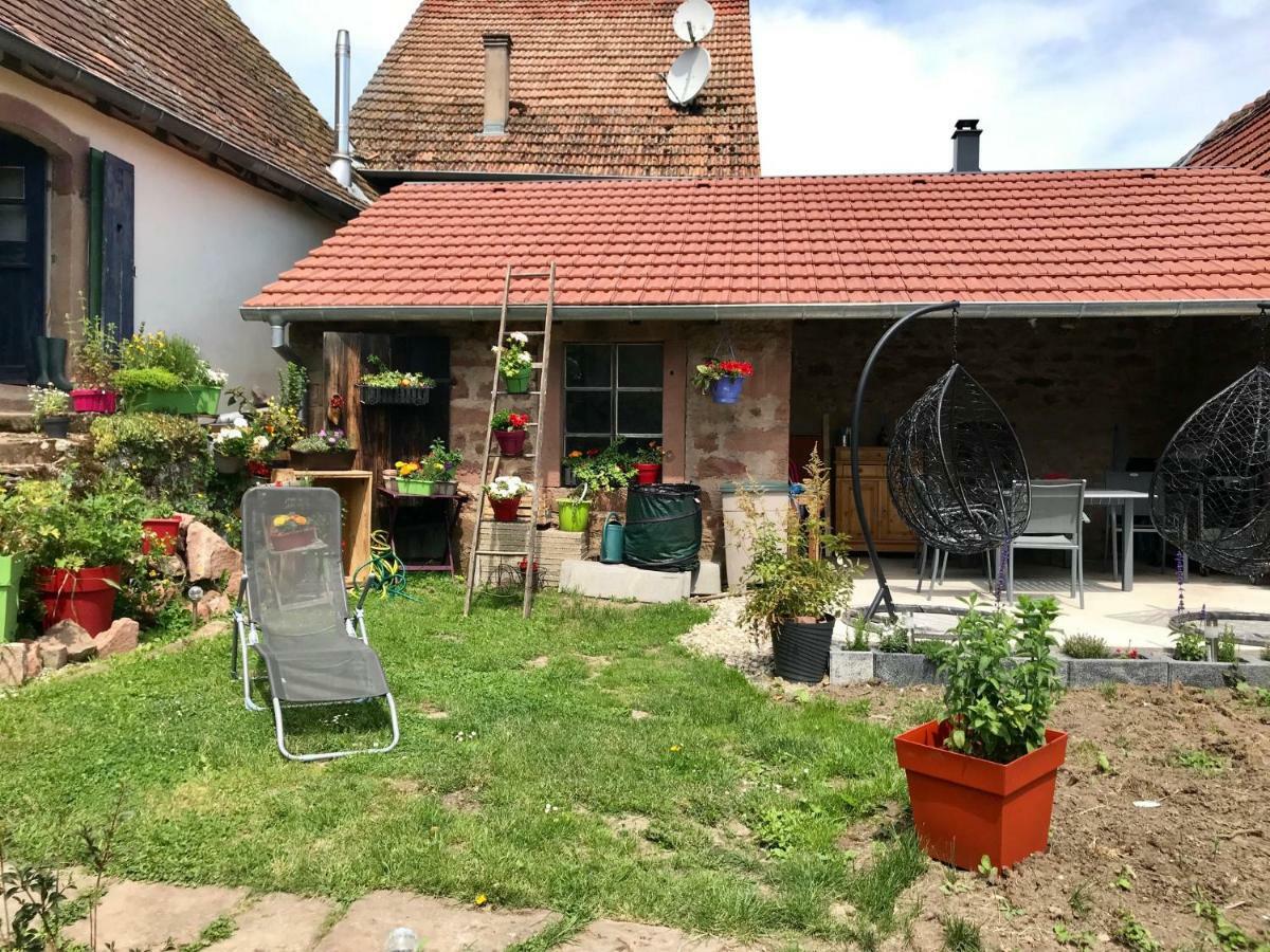 Le Nid De Cigognes Hengwiller Exterior foto